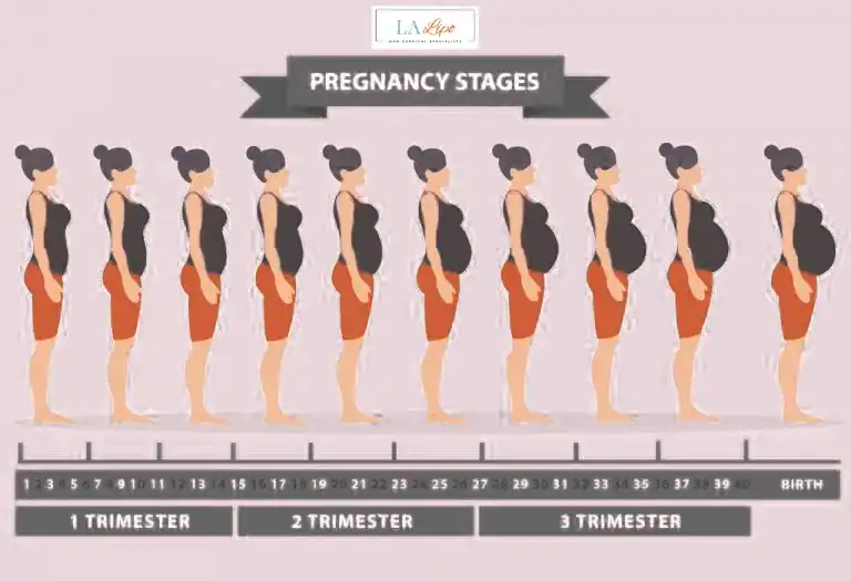 First Trimester (Weeks 1–12): Early Changes You Might Not Notice Birmingham